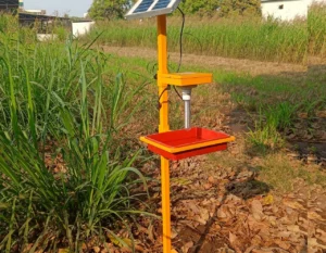 Solar Insect Trap