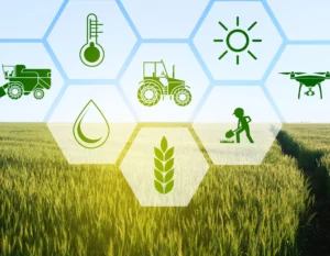 5. Agtech Innovations